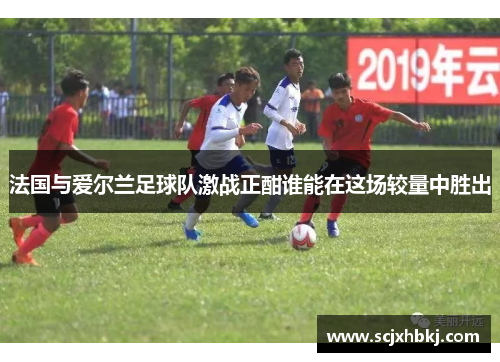法国与爱尔兰足球队激战正酣谁能在这场较量中胜出