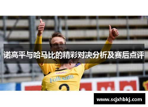 诺高平与哈马比的精彩对决分析及赛后点评